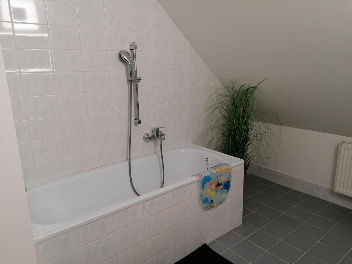 Апартаменты Apartman U Zoubku Литомишль Экстерьер фото