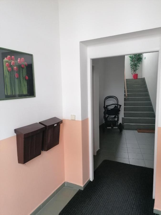 Апартаменты Apartman U Zoubku Литомишль Экстерьер фото
